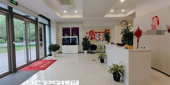  网球文化展览开幕，珍贵藏品展现百年发展史