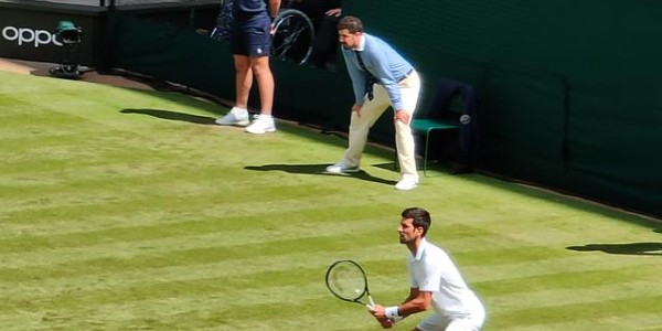  温网百年赛场迎革新，可回收材料铺设场地