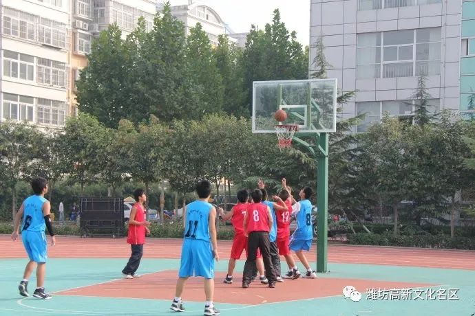  校园篮球蓬勃发展，基层培养见成效